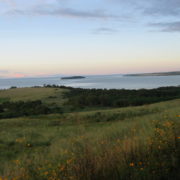 grassy hillside with lake in background