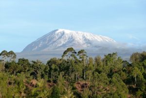 snow-capped mountain with tropical greenery in the foreground