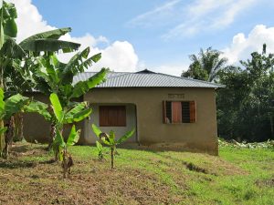 tan stucco house with tin roof and banana trees