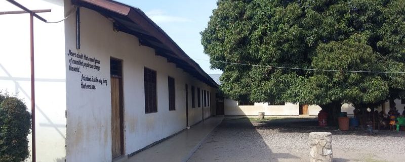school courtyard with large mange tree