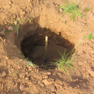 stake in a hole in the dirt with blue tape at the bottom of the stake