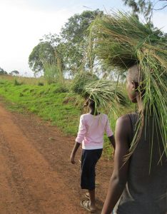 two girls carrying bundles of grass on their heads, walking on dirt road