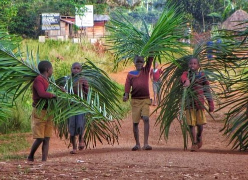 village school children carrying large palm branches