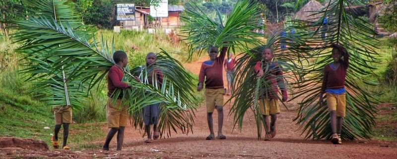 village school children carrying large palm branches