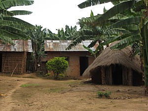 two mud houses with tin roofs and a house on the right with a grass thatch roof