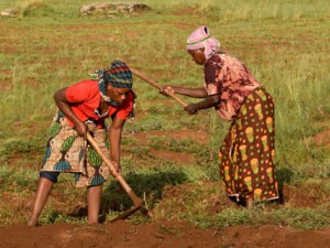 two women in bright colored clothing hoeing red dirt and grass