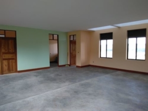 classroom with butterscotch and green walls and big windows