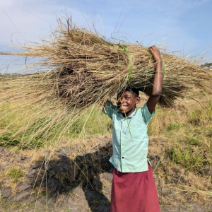 girl with big bundle of grass on her head