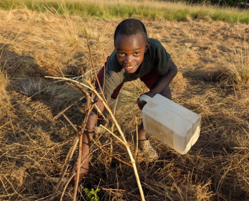 boy tending to tree seedlings protected by a stick teepee