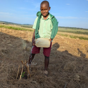 boy watering a seedling with a jerry can