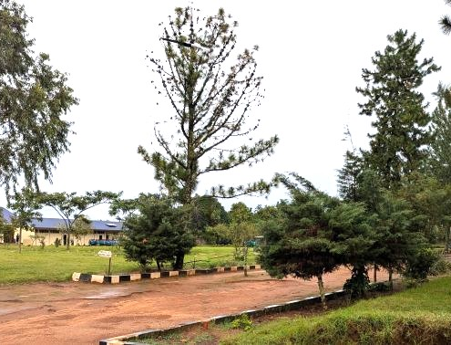 school campus with buildings and trees