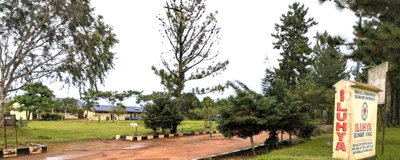 school campus with buildings and trees